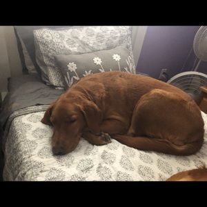 Meet your Posher, Jillian